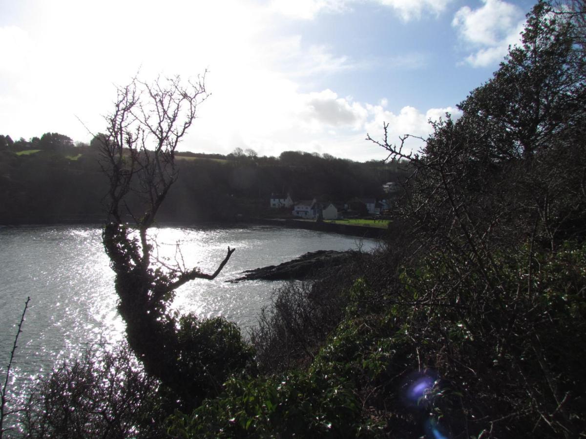 Ty Nain, Newport, Pembrokeshire Villa Нюпорт Екстериор снимка